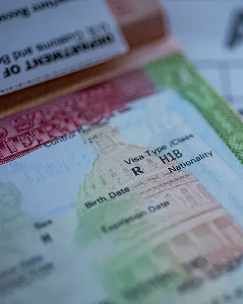 Example of a small section of the visa document.