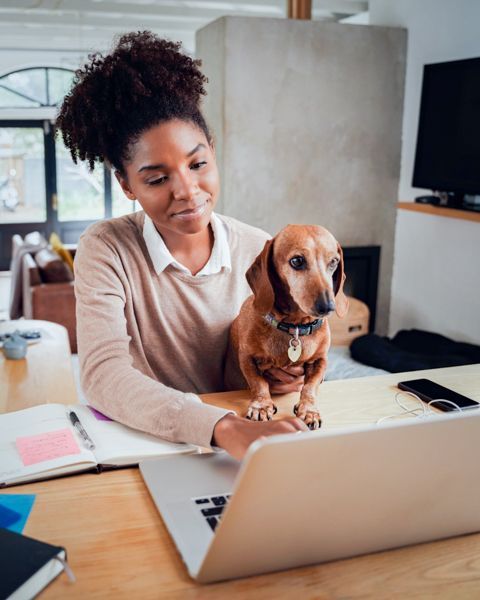 A physician, a Black woman casually dressed at home office, with her dachshund in lap, reviewing job boards on her laptop.